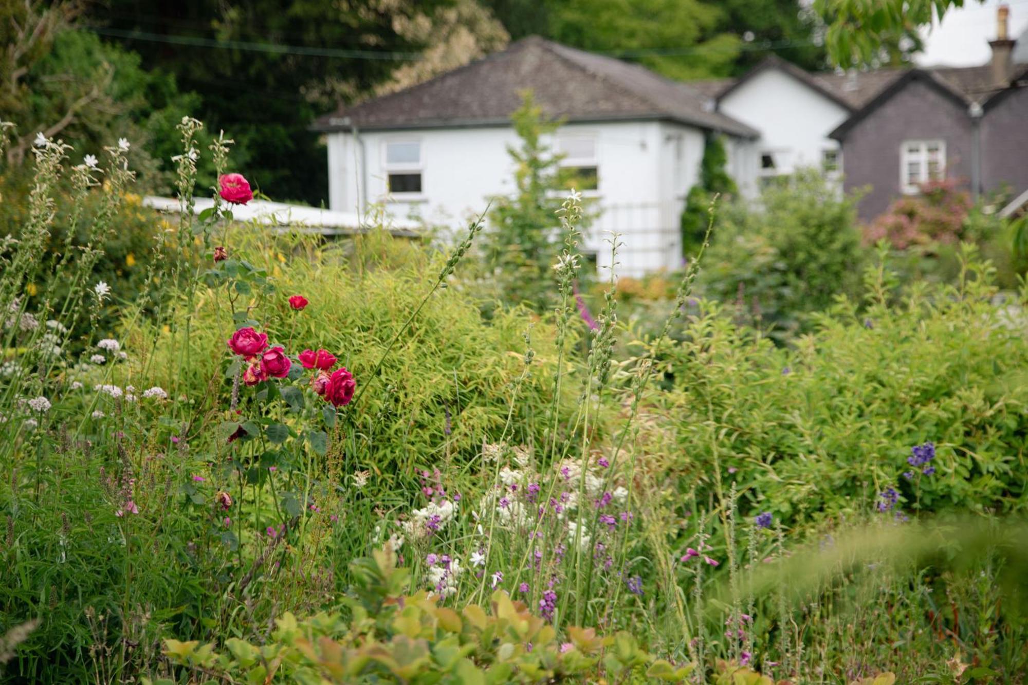 Trigonos - Quiet, Peaceful, Vegetarian B&B And Retreat Centre Nantlle Exteriér fotografie